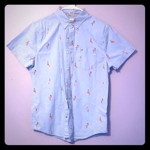 Hollister Collared T-Shirt / Polo / Button Down